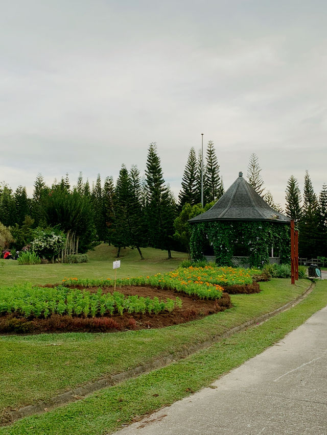 A Green Escape in Putrajaya! 🌿