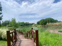 Luoshui Wetland Park: An Ecological and Cultural Haven