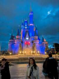 ディズニーランド行ってきました！