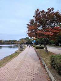 Fukuoka: Exploring the Best of the City