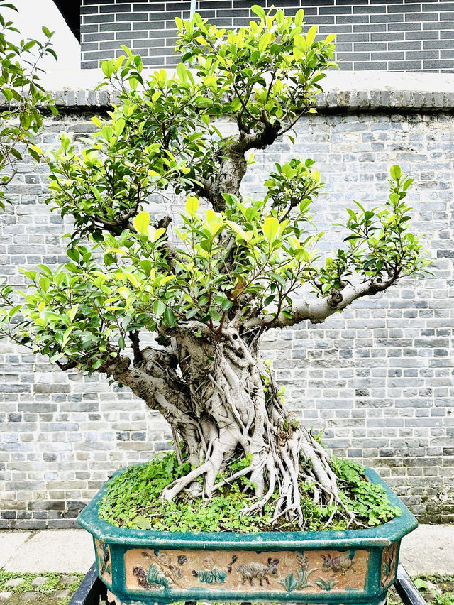 Chen Clan Ancestral Hall, Guangzhou: A Cultural Treasure