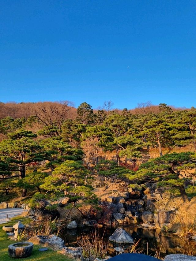 가을이 되면 이숲은 꼭 가보시길🍂🍁