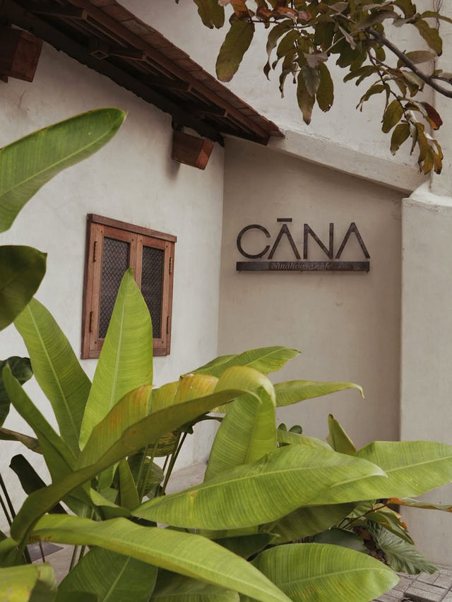 THE CANA HOUSE