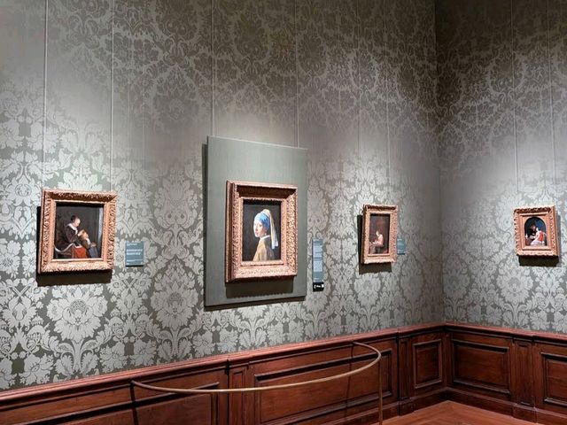 Mauritshuis Museum (The Hague)