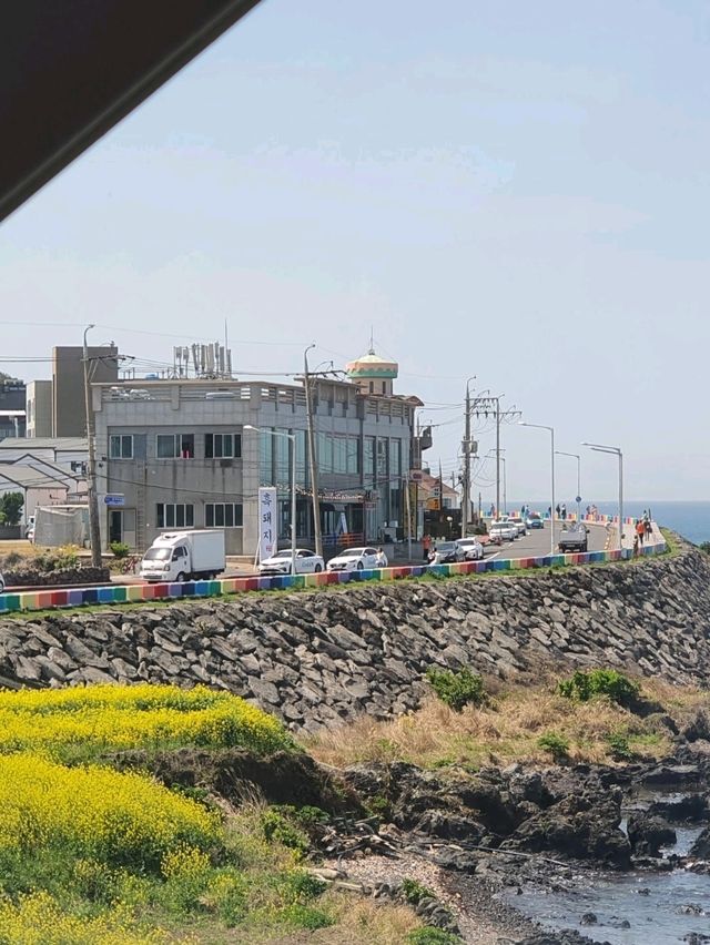 ☕ 우리나라에서 가장 예쁜 빽다방 💙 빽다방 제주 사수점