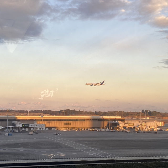🇯🇵成田機場t2可以看飛機的餐廳🍴✈️