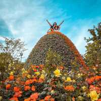 🌻SUNCHEON BAY NATIONAL GARDEN 🌺