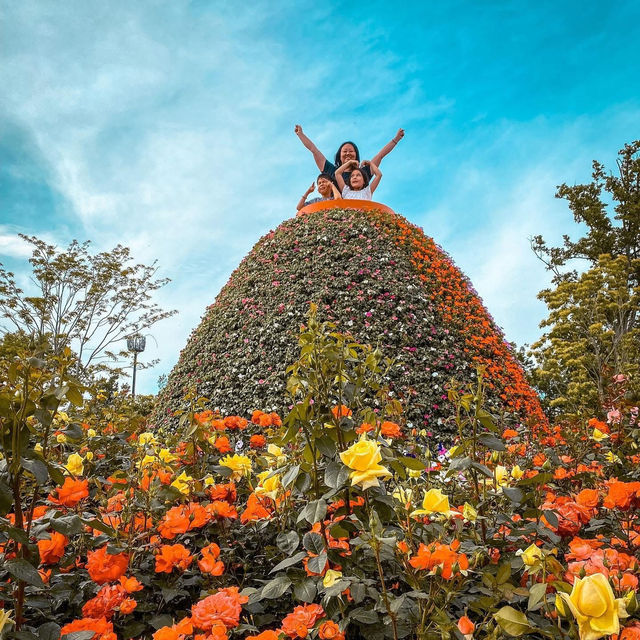 🌻SUNCHEON BAY NATIONAL GARDEN 🌺