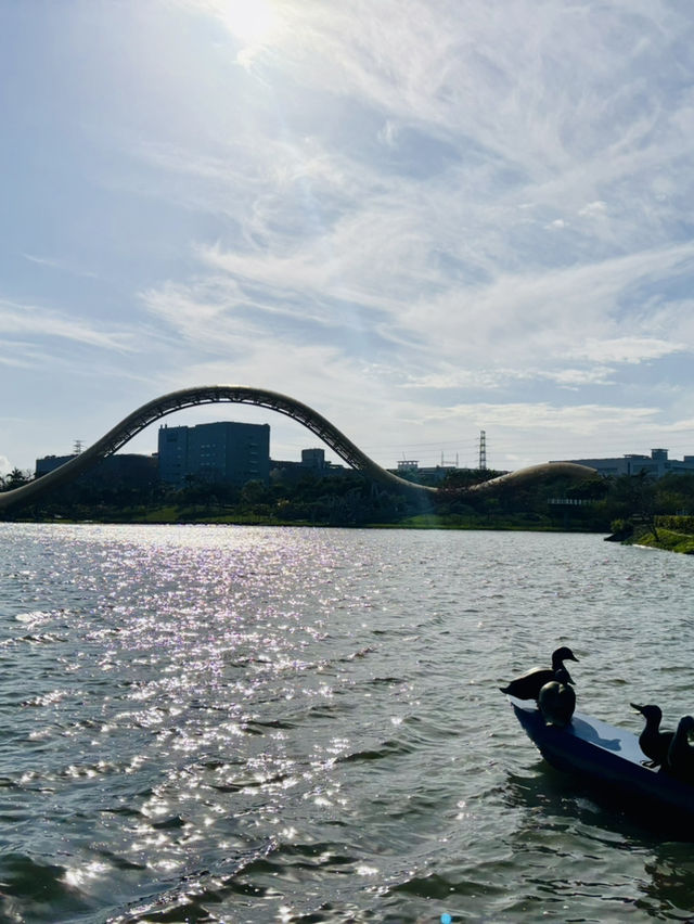 迎曦湖畔，享受休閒時光！☀️ 跑步運動，毛孩散步，完美的一天！🐶🏃‍♀️