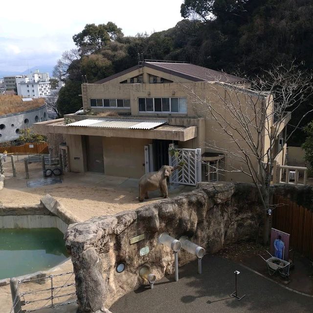 Fukuoka City Zoological and Botanical Garden (福岡市動植物園)