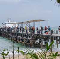 เที่ยวเกาะเต่าง่ายๆ กับ Lomprayah Catamaran ⛴️🐢