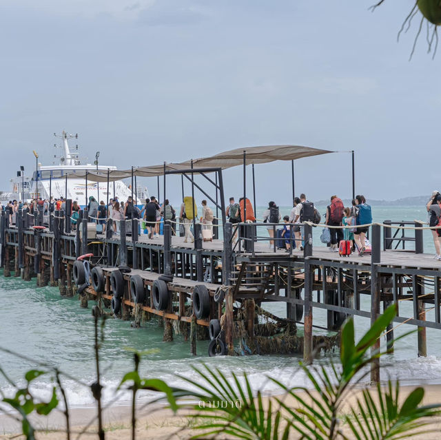 เที่ยวเกาะเต่าง่ายๆ กับ Lomprayah Catamaran ⛴️🐢