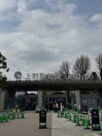 東京一日行程 上野動物園東京鐵塔順便之旅