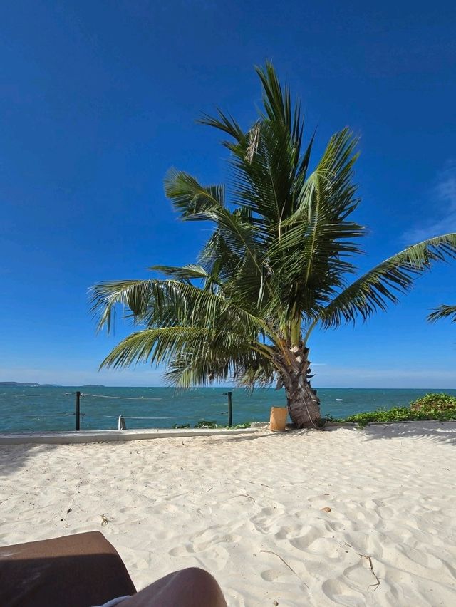 🌊 Luxury by the Sea: InterContinental Pattaya 🌊
