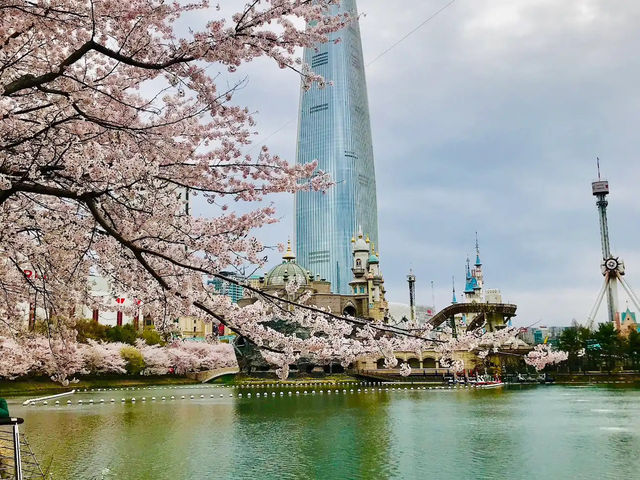 🌸 **石村湖櫻花觀賞遊覽分享** 🌸