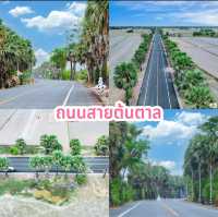 ถนนสายต้นตาล