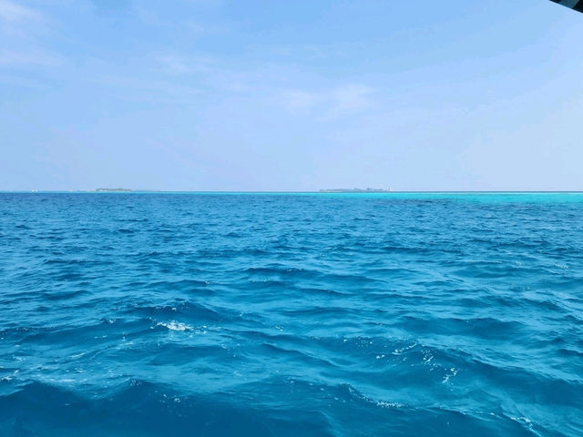 [🇲🇻マレ] ヴェラナ国際空港: ミライドゥ・モルディブの極上送迎サービス！