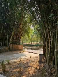 ธรรมชาติ คาเฟ่ | สวนผึ้ง ราชบุรี