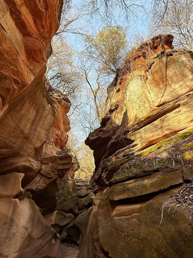 Witness the breathtaking beauty of China’s natural landscapes
