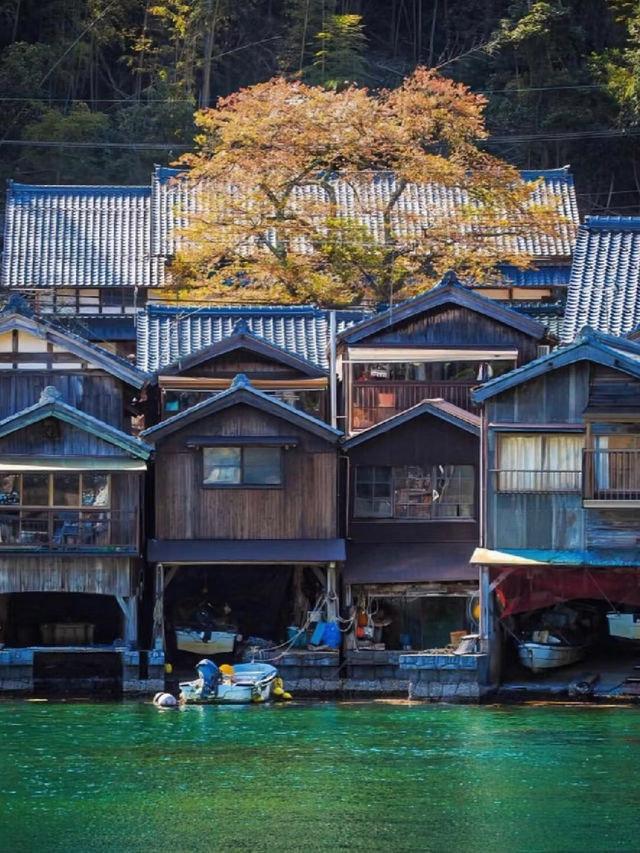 京都の隠れた絶景スポット！伊根舟屋＆天橋立の完全攻略 ✨