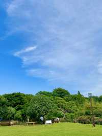 Spring Stroll at Todoroki Valley☘️
