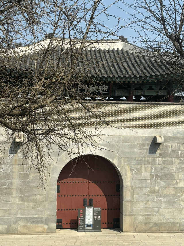 경복궁 카페는 여기지
