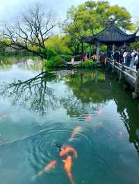 West Lake, a must-visit scenic hotspot in Hangzhou, China. 