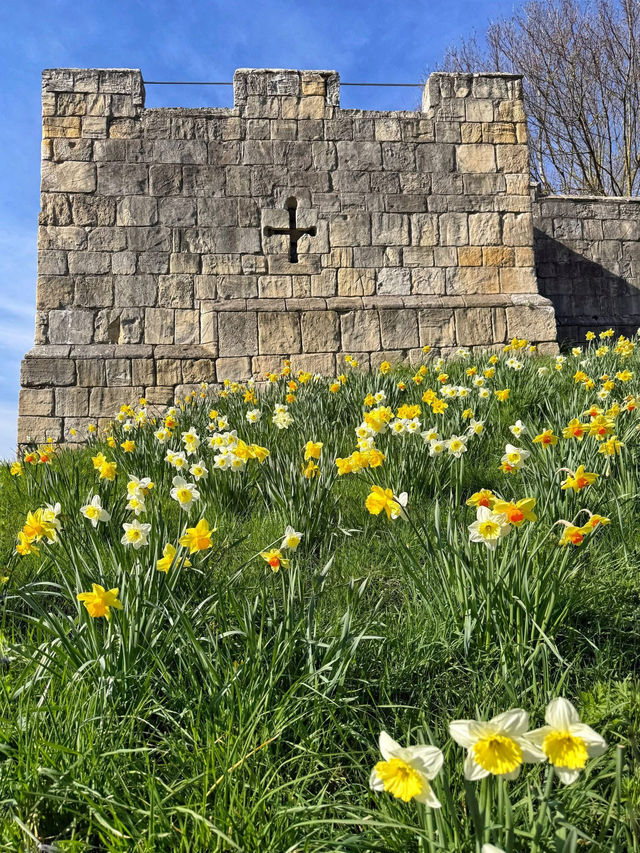 York City Walls