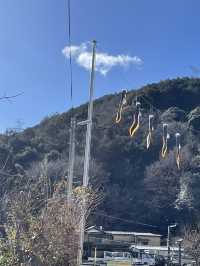 逢坂山かねよ　うな重