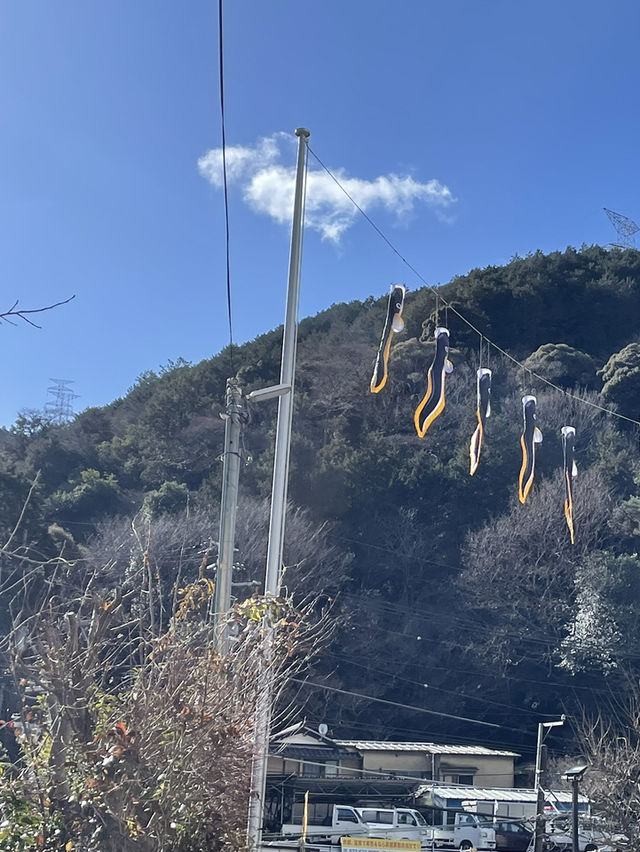 逢坂山かねよ　うな重