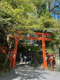 Spring Day Trip to Kifune Shrine🍃
