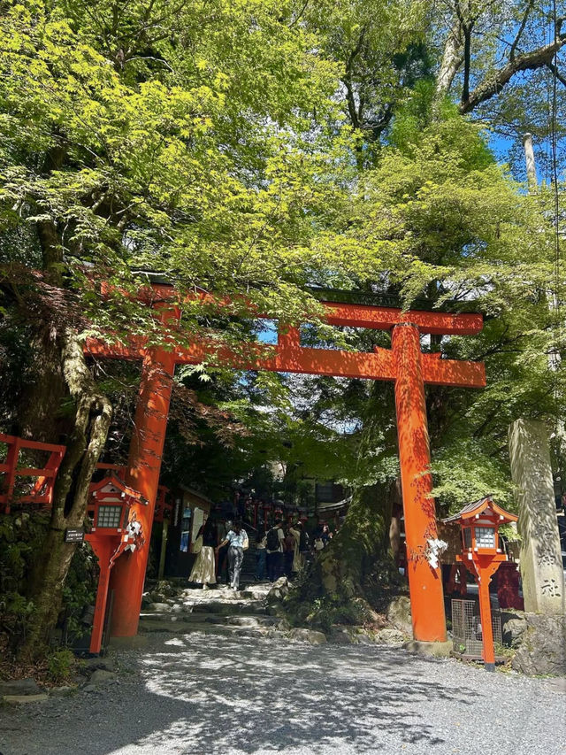 Spring Day Trip to Kifune Shrine🍃