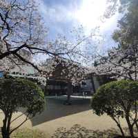 住吉神社（Sumiyoshi Shrine）