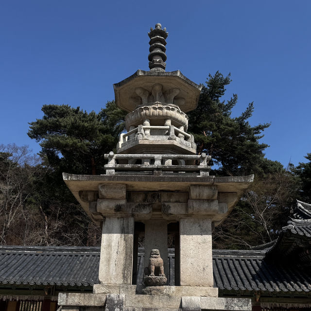 경상북도 경주 1박2일 역사투어 경상북도 경주 1박2일 역사투어