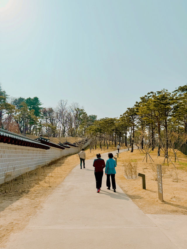 걷기 좋은 덕수궁 돌담길 🌸