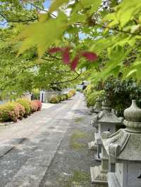 Spring Visit to Zuishin-in🌼