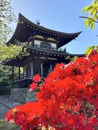 Spring Stroll at Kanshuji Temple
