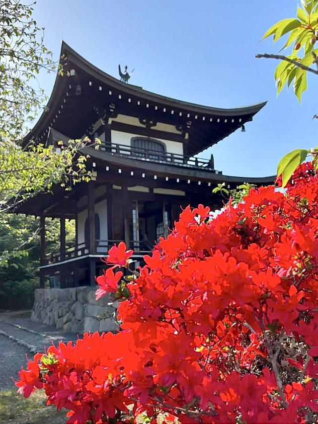 Spring Stroll at Kanshuji Temple