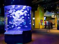 溫哥華水族館