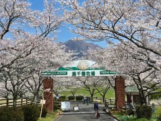 A must-visit place in Kagoshima - Takachiho Ranch