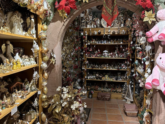 Charming Colmar - a must visit ! 