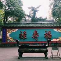 🇨🇳:成都 道教の聖地でパワースポット巡り！静けさと歴史に癒される