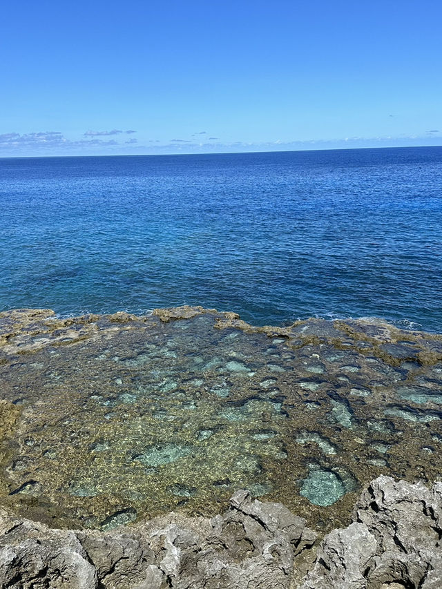 🇯🇵南大東島　陸の孤島でワイルド海水浴🌊