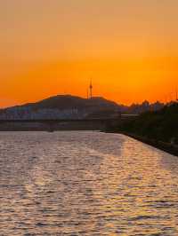 분위기 낭낭한 저녁 산책 코스로 최고 💫🍃
