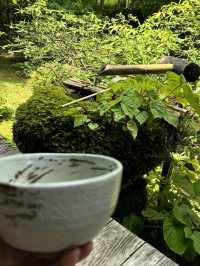 京都春日夢：在寶泉院的靜謐時光 🌸🍃