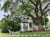ทัพ-ฟ้าคาเฟ่ คาเฟ่ที่แสนโรแมนติก จังหวัดพิษณุโลก