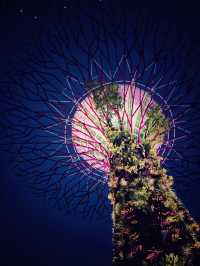 A Whirlwind 3D2N Getaway in Vibrant Singapore