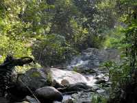 นอนแม่ลาย สายธรรมชาติ Bee forest