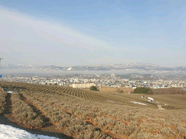 후라노. 히노데공원