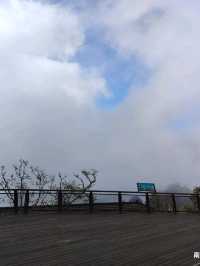 จุดชมวิว Zhushan Station Mt.Okasawara Alishan